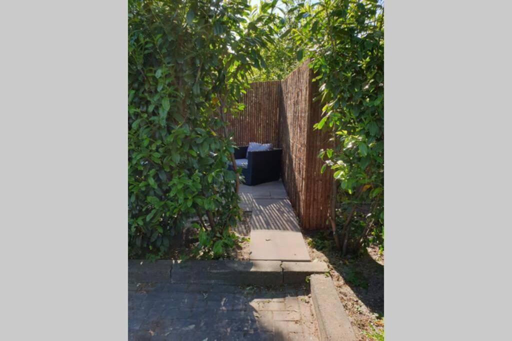 Vrijstaand / Landelijk Appartement Met Uitzicht! De Wijk Exteriör bild